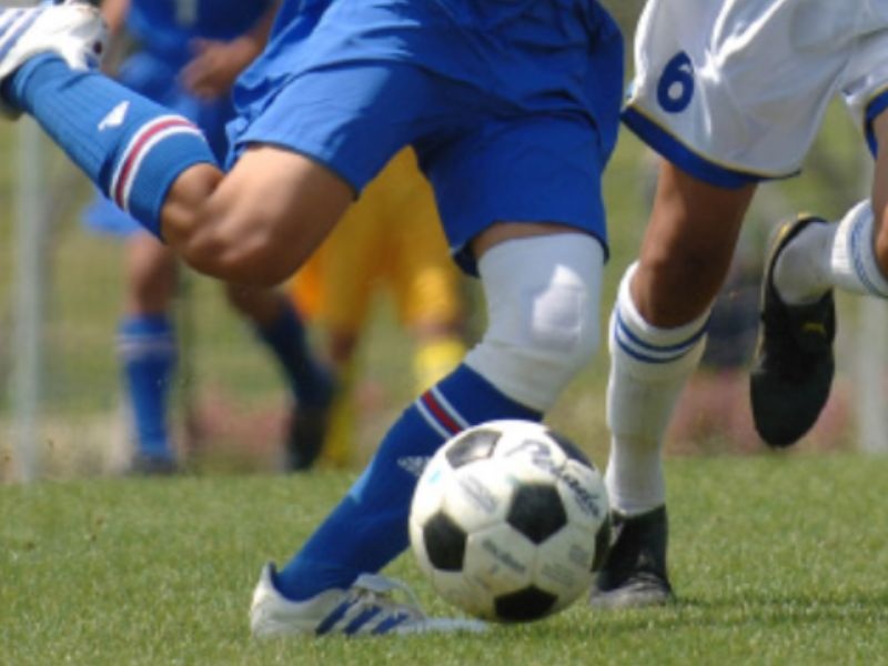 部活動応援プラン