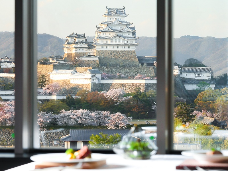 通年プラン