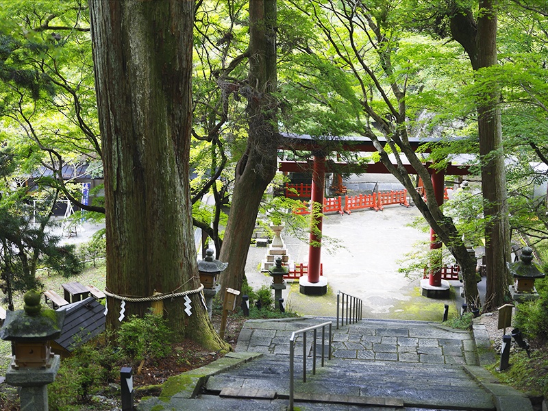 【談山神社】大鳥居：緑の境内
