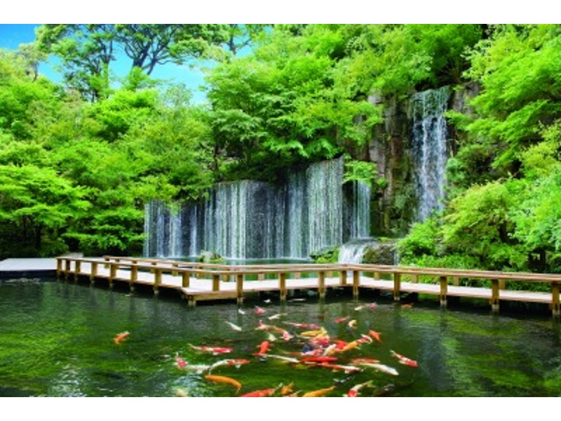 アトリウムの外にある日本庭園は、高低差30Mの急な崖沿いにあり、そこから滝が流れ落ちています。あがる水しぶき、池の中を悠々と泳ぐ色とりどりの鯉たち。
涼しげで美しく穏やかな時の流れを
感じられる都会のオアシス。