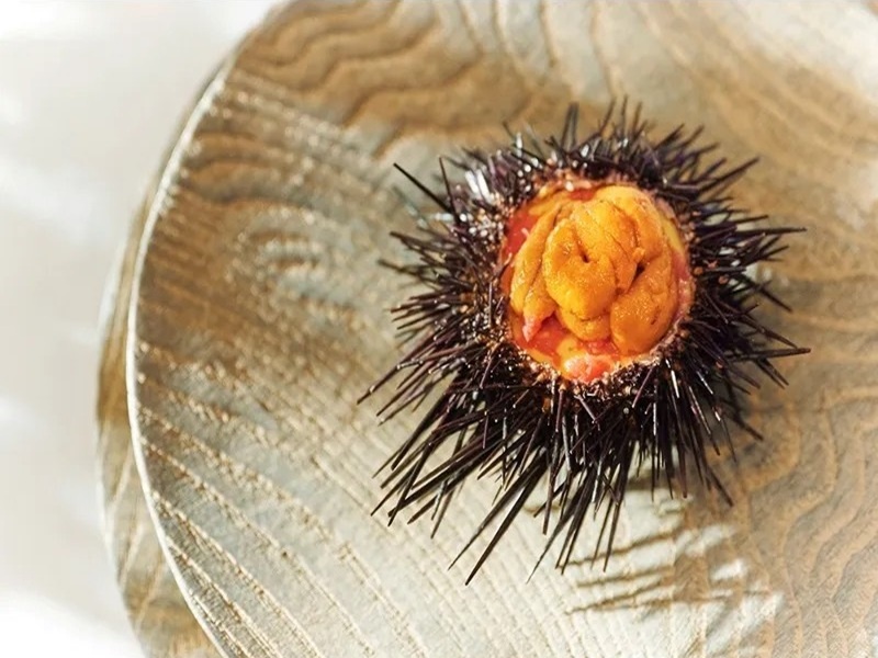 【料理例】Amuse