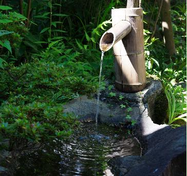 昔ながらの風情ある館内では、ゆったりとした時間が流れます。
年月を重ねた壁や床の独特な色合いや優しさを感じてください。
緑豊かな庭園を眺め、心休まるひとときをお愉しみ頂けます。