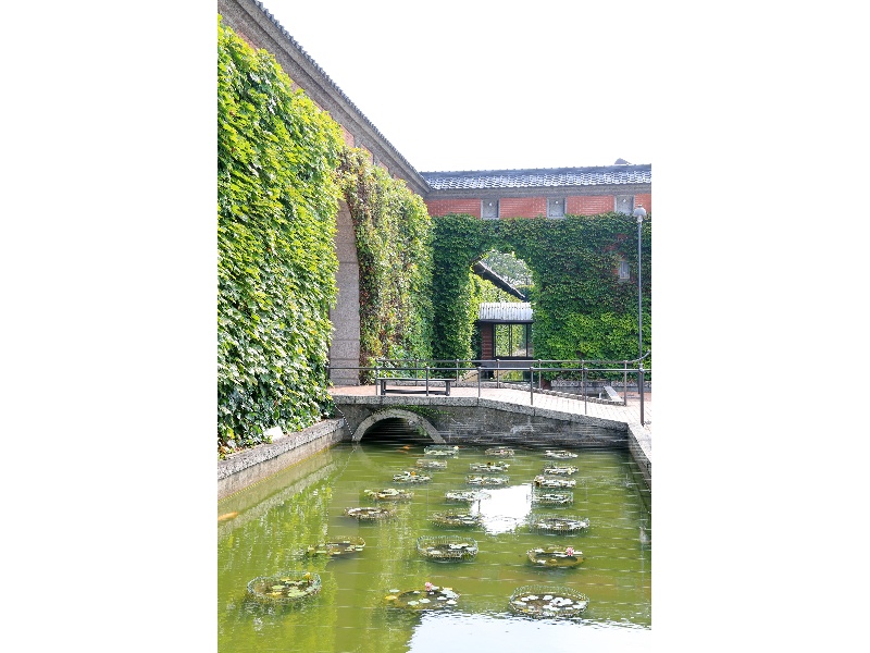 中庭