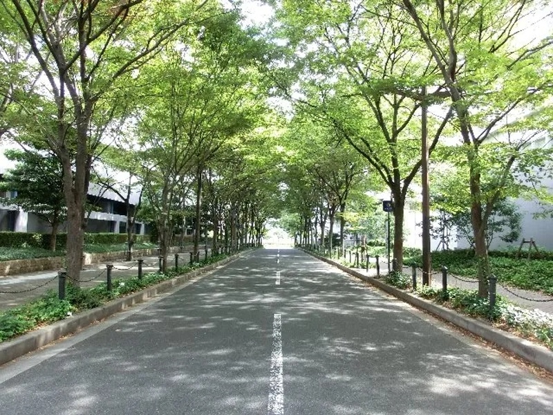 大阪南港に位置しており、 中心部からも好アクセス。
閑静な環境が整っており、集中して実施したい研修・会議には最適な場所です
