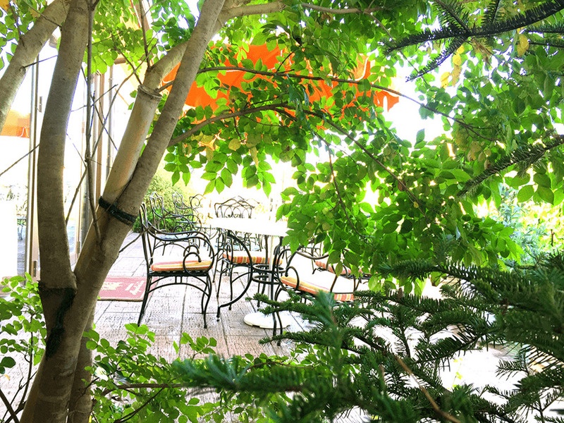 レストラン テラス