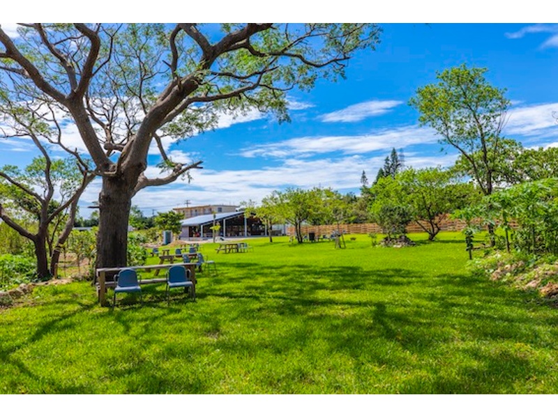 プライベートガーデンから多目的棟を臨む