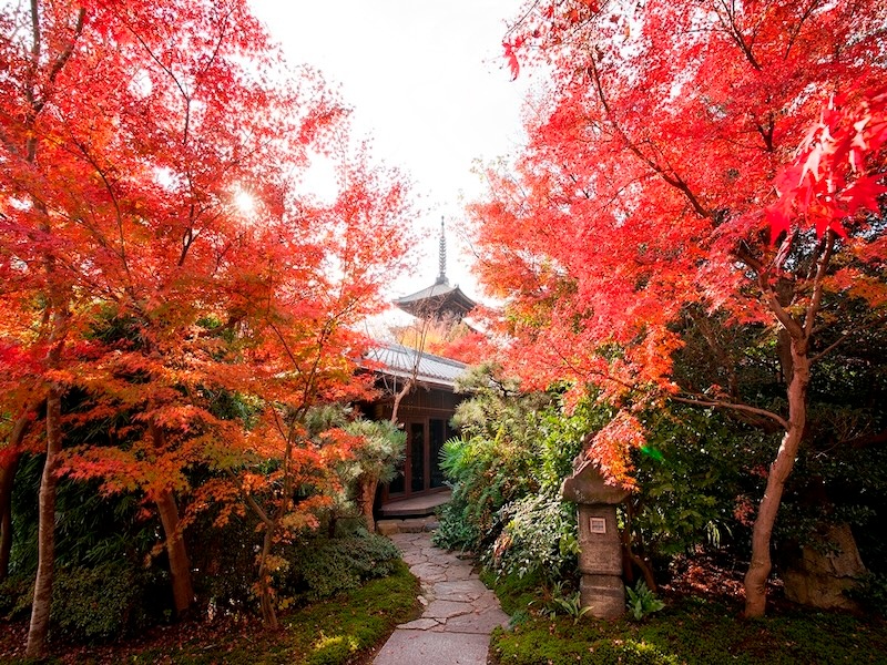■庭園からの景色
庭園から望むことが出来る八坂の塔は、四季折々で雰囲気が違い、さまざまな景色が楽しめます。