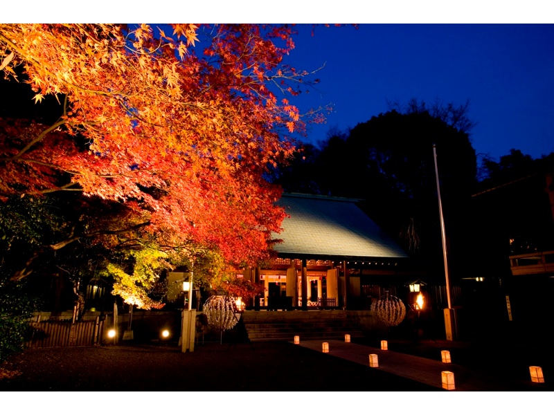 【秋の乃木神社】