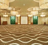 中宴会場　カシオペア<br /><br />正餐：100名<br />立食：120名<br />会議（シアター）：260名<br />会議（スクール）：180名<br /><br />広さ：216㎡（65坪）<br />天井高：3.6m