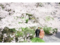 春は桜満開の中、入社式の記念撮影にもオススメ