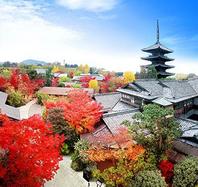 京都らしさと非日常が共存し、八坂の塔のふもとで、清水寺や八坂神社へは歩いて行ける所に位置し、日本の歴史が残る街です。
建物は日本画の巨匠、竹内栖鳳が構えた約90年前の邸宅をリノベーションした日本家屋。四季によってさまざまな景色が楽しめる広い庭園が広がります。