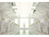 ティファレート