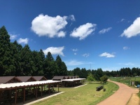BBQ場